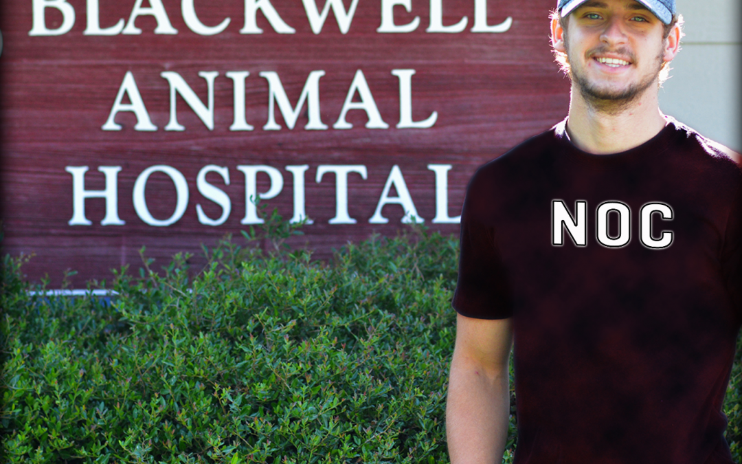 Josh Swain Veterinary Internship
