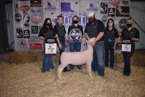 NOC Sheep Center results