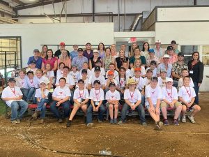 Livestock Judging Camp Grades 3-6
