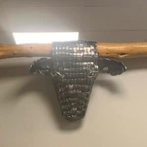 Long Horn
