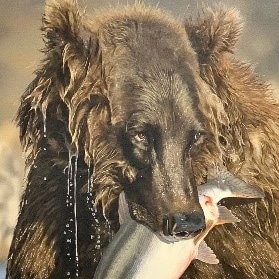 Dinner Time