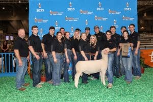 Houston Ag Show