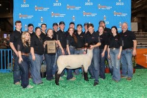 Houston Ag Show #2