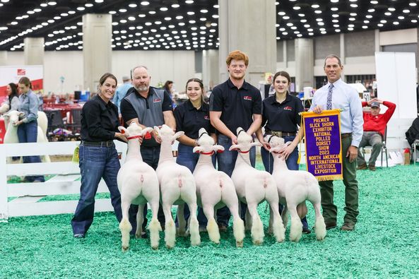 NOC Students participated at the NAILE Exposition in Louisville, Kentucky, in mid-November.