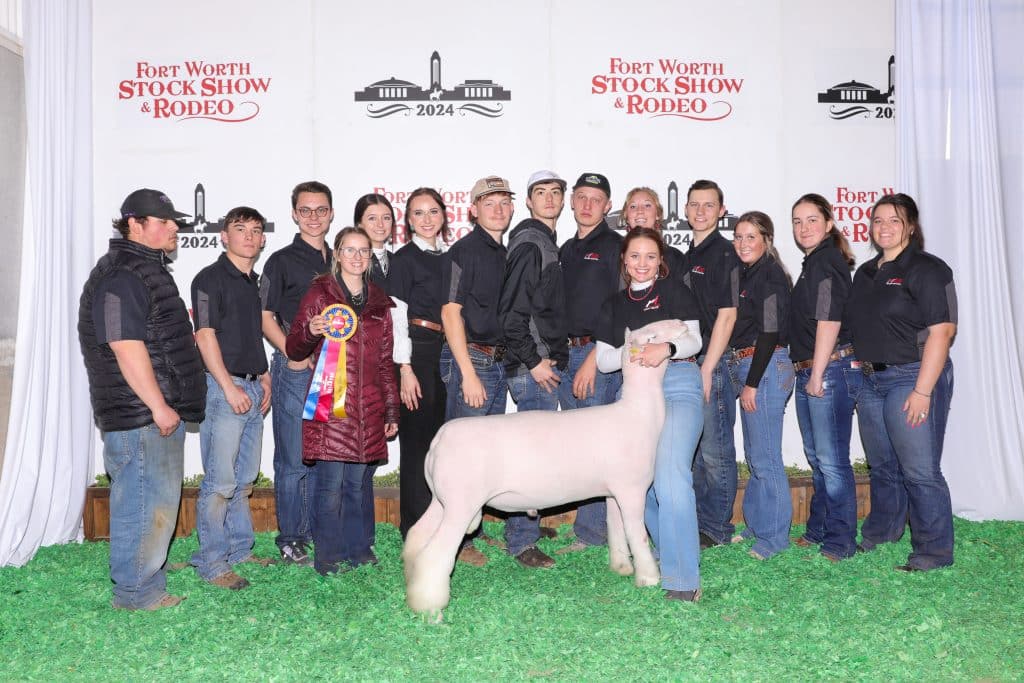 Champion Ram
