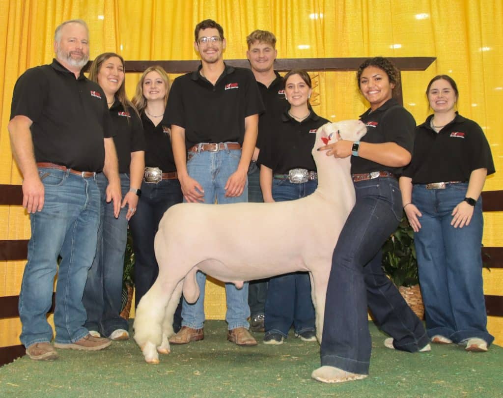 Northern Oklahoma Sheep Center students attended the North American International Livestock Expo (NAILE) in Louisville, Kentucky, in November. Pictured are NOC Sheep Center students with the 3rd place Dorset Ram “Sinatra.” (L to R): Sheep Center Director Bart Cardwell, Savannah Neighbors, Hope Henderson, Jake Smith, Haydyn Smolek, Shelby Harland, Kinzie Bell and Ashlyn Todd.