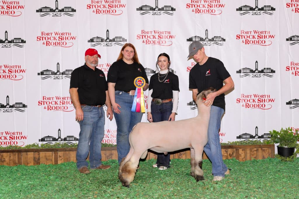 NOC Sheep Center Ft. Worth Show