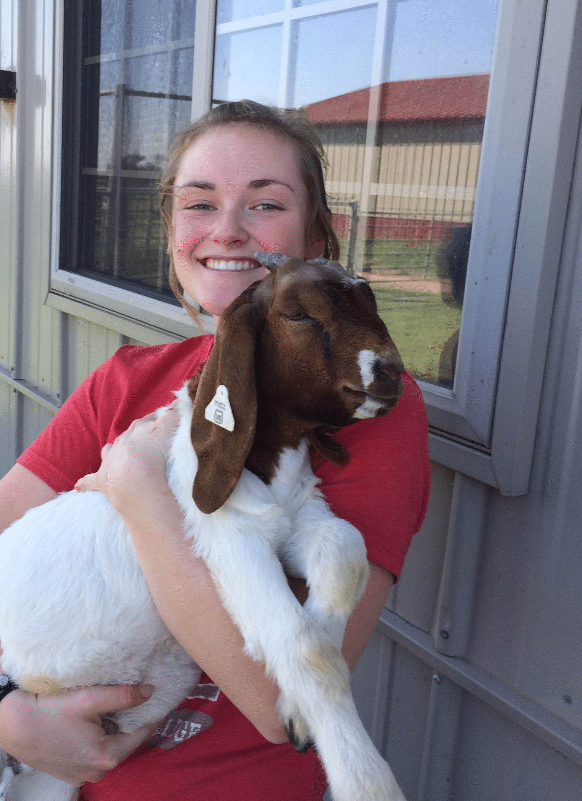 Katie Davis Veterinary Internship