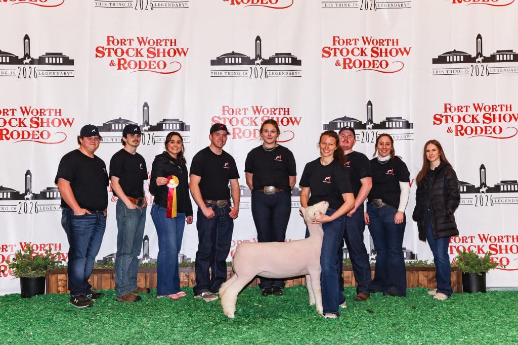 Cutline:  NOC Sheep Production students at the Fort Worth Stock Show featured with the Champion Dorset Ewe in late January.