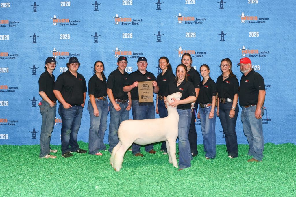 Northern Oklahoma College students from the Sheep Production and Management class exhibited Dorset and Hampshire sheep at the Houston Livestock Show and Rodeo Open Sheep Show, earning multiple honors including Reserve Champion Dorset Ewe and Outstanding Dorset Flock.