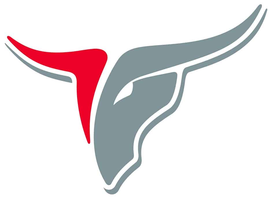 Mavs Logo